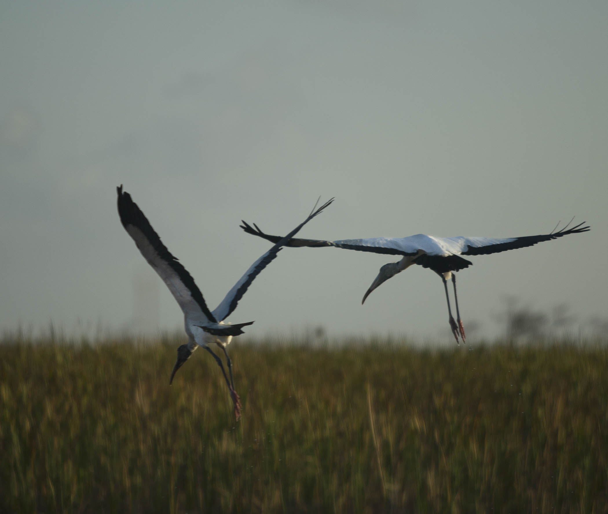 landing image