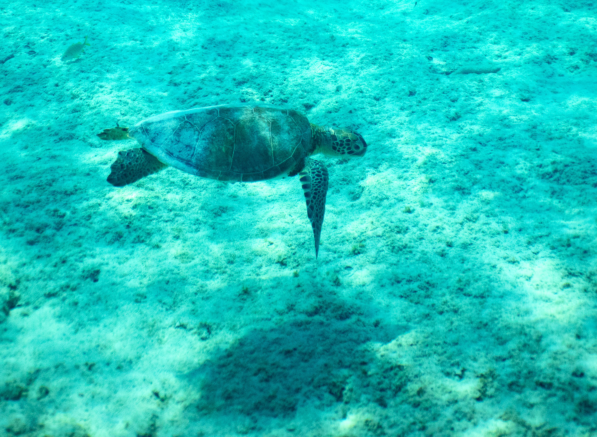 landing image