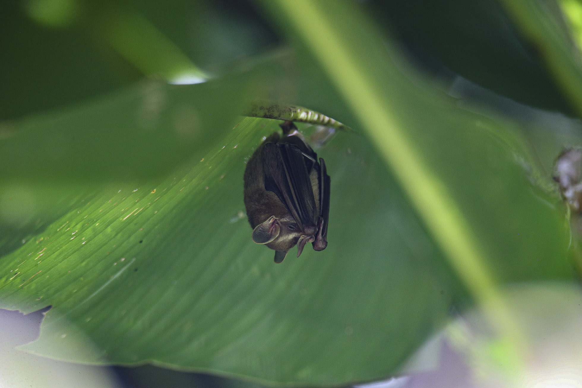 landing image